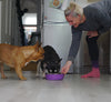 Health and Hygiene with Raw Dog Food