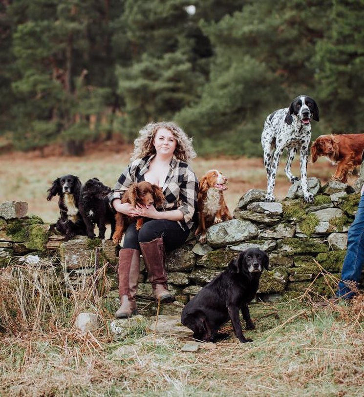 Terriers as Pets