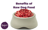 Benefits of Raw Dog Food - Rawgeous Pet Food