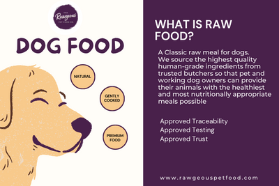 What is Raw Food?