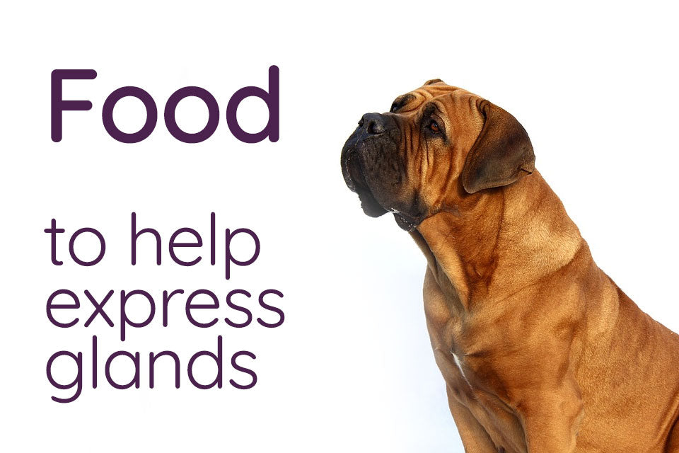 Food to Help Dog Express Glands