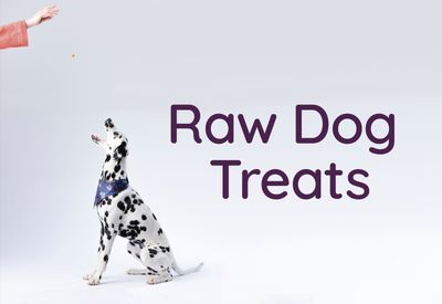 The Best Natural Raw Treats for Dogs