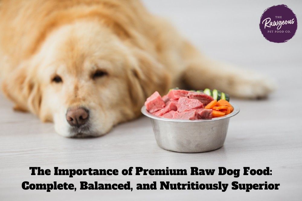 The Importance of Premium Raw Dog Food: Complete, Balanced, and Nutritiously Superior