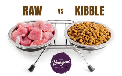 Why Raw Is Better then Kibble