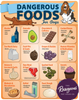 Dangerous Foodstuffs for Dogs