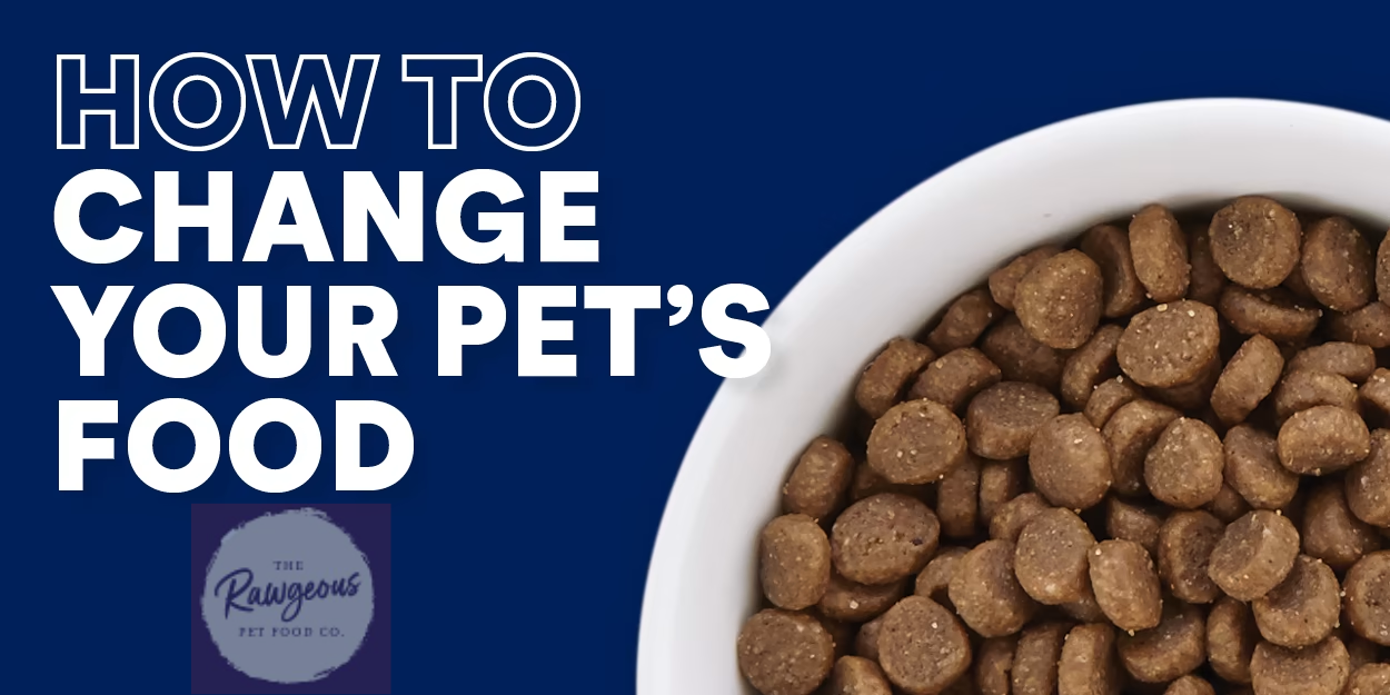 Switching Your Dog to Raw Premium Food: Advice for Changing Dogs' Food and Hints and Tips