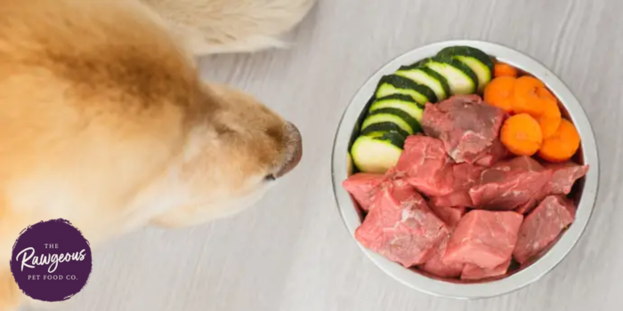 Feeding Premium Human Grade Meats to Dogs