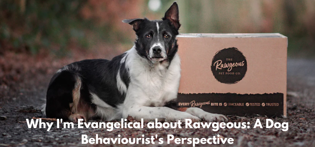 Why I'm Evangelical about Rawgeous: A Dog Behaviourist's Perspective