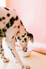Is Raw Food Good For Dogs? Busting The Myths