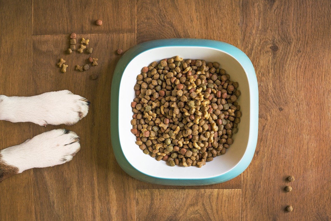 The Truth About Kibble