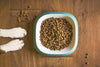 The Truth About Kibble